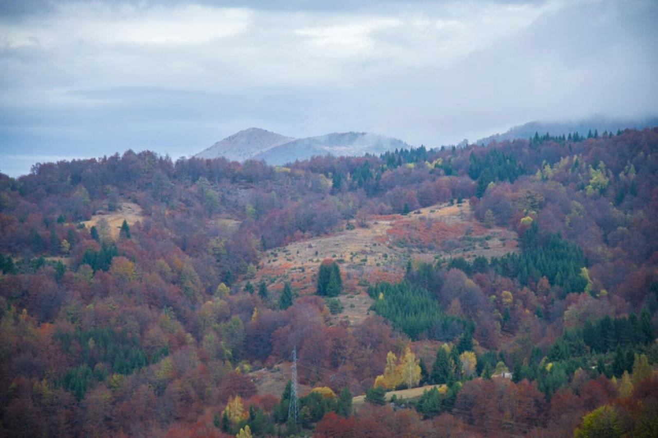 Ferienwohnung Kophill L36 Milmari Kopaonik Exterior foto